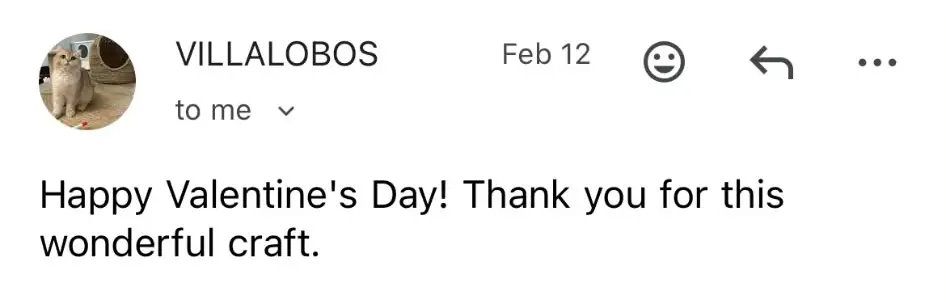 Email from Villalobos saying Happy Valentine's Day, thank you for this wonderful craft.